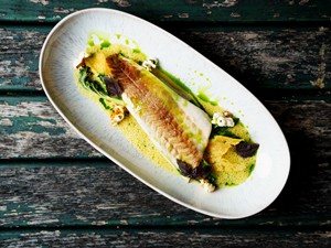Artfully arranged organic dish