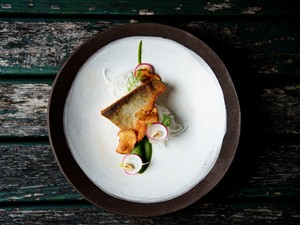Artfully arranged organic dish
