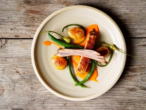 Artfully prepared organic dish