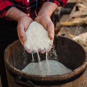 Hands let maize grits trickle into a wooden bucket