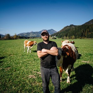 Man on pasture with cows