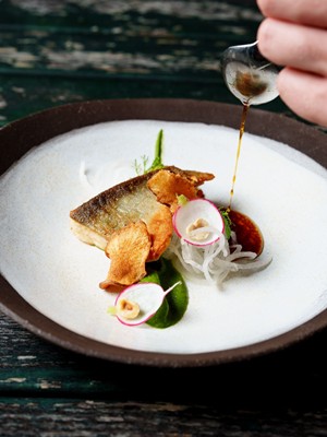 Ein schön angerichteter Teller mit gebratenem Fisch und Gemüse auf dem gerade die Sauce mit einem Löffel darüber geträufelt wird.
