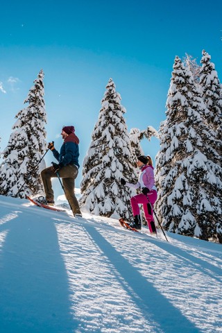 Two snowshoe hikers in the snow