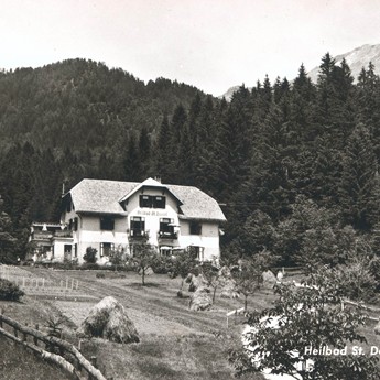 The spa became an organic guesthouse A house surrounded by forest