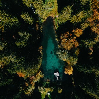 Teich in einem Wald von oben