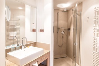 Washbasin, mirror and shower in the bathroom