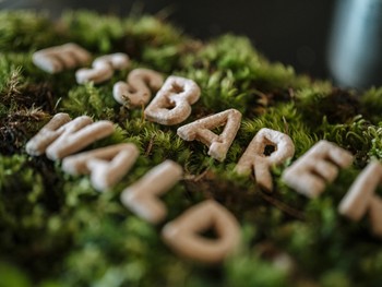 Auf Moos gelegte Buchstaben 