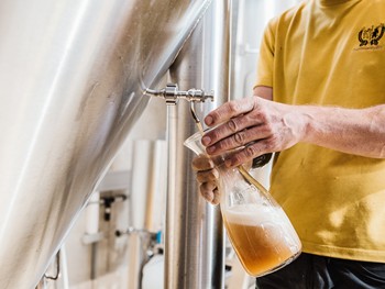 Mann zapft Bier aus Tank in eine Karaffe