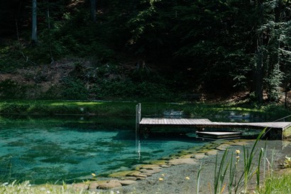 Pond with footbridge surrounded by trees