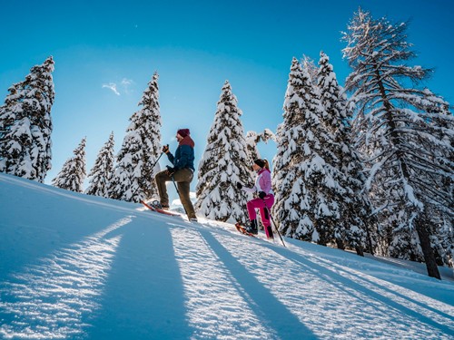 Two snowshoe hikers in the snow