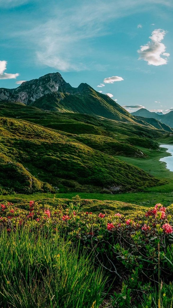 Blooming meadows, a lake and mountains in the sunshine