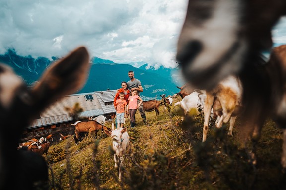 Family on meadow surrounded by goats