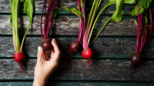 Turnips lined up on a wooden table, one hand holding one of them